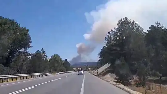 Bolu'da orman yangını başladı