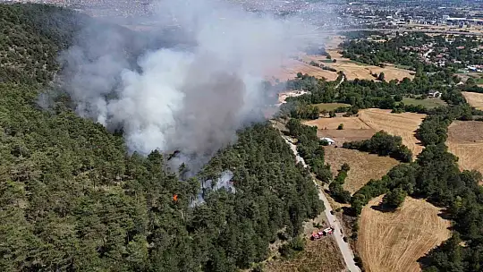 Bolu'da orman yangını başladı