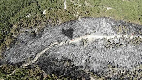 Bolu'da orman yangını büyük ölçüde kontrol altına alındı