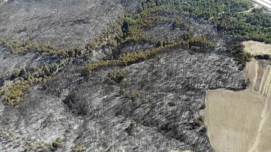 Bolu'da orman yangını büyük ölçüde kontrol altına alındı