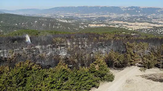 Bolu'da orman yangını büyük ölçüde kontrol altına alındı