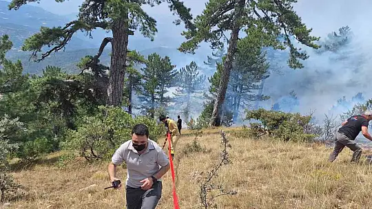 Bolu'da orman yangını: Havadan ve karadan müdahale sürüyor