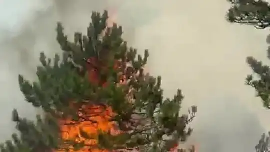 Bolu'da orman yangını: Havadan ve karadan müdahale sürüyor