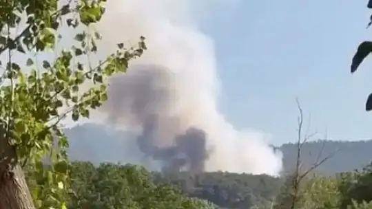 Bolu'da orman yangını