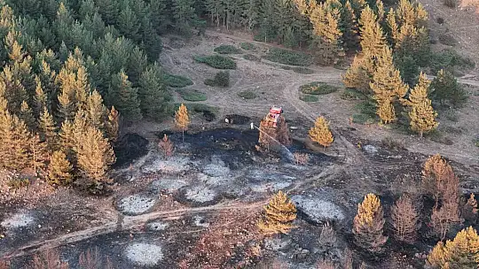 Bolu'da ormana sıçrayan yangın kontrol altına alındı: Yanan alan havadan görüntülendi