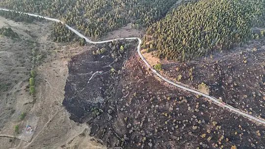 Bolu'da ormana sıçrayan yangın kontrol altına alındı: Yanan alan havadan görüntülendi