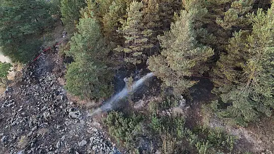 Bolu'da ormana sıçrayan yangın kontrol altına alındı: Yanan alan havadan görüntülendi