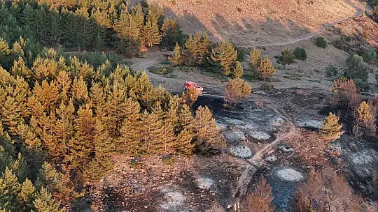 Bolu'da ormana sıçrayan yangın kontrol altına alındı: Yanan alan havadan görüntülendi
