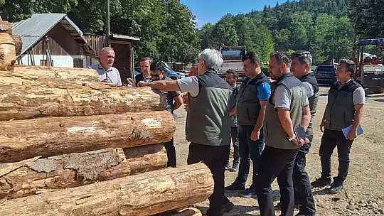Bolu'da ormancılık faaliyetlerine saha denetimi