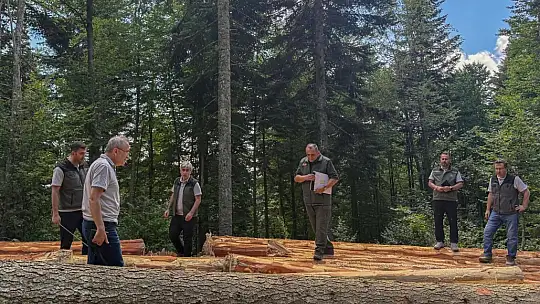 Bolu'da ormancılık faaliyetlerine saha denetimi