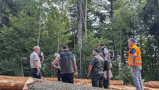 Bolu'da ormancılık faaliyetlerine saha denetimi