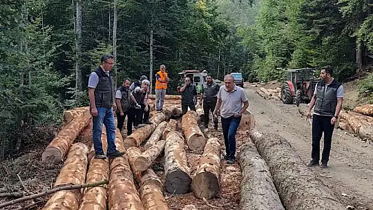 Bolu'da ormancılık faaliyetlerine saha denetimi