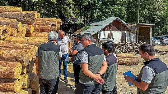 Bolu'da ormancılık faaliyetlerine saha denetimi