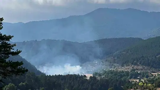 Bolu'da ormanlık alanda çıkan yangın kontrol altına alındı