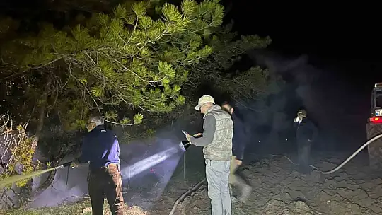 Bolu'da ormanlık alanda yangın