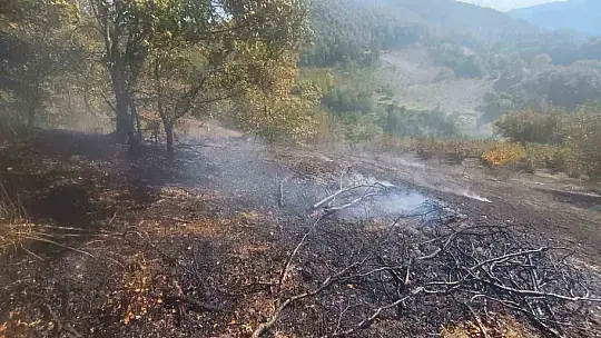 Bolu'da ot yangını büyümeden söndürüldü