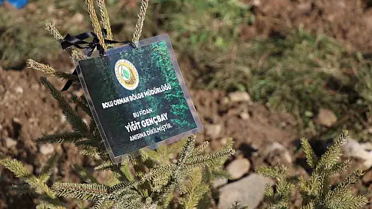 Bolu'da otel faciasında yaşamını yitiren 78 kişi için hatıra ormanı