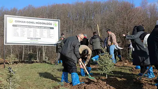 Bolu'da otel faciasında yaşamını yitiren 78 kişi için hatıra ormanı