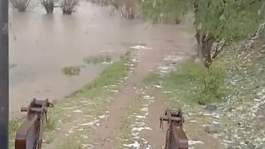 Bolu'da sağanak yağış dereleri taşırdı: Bahçe ve ahırlar sular altında kaldı