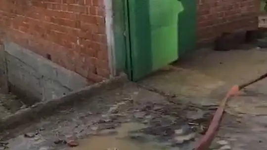 Bolu'da sağanak yağış dereleri taşırdı: Bahçe ve ahırlar sular altında kaldı