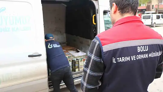 Bolu'da sahte zeytinyağı operasyonu: Litrelerce sahte ürün ele geçirildi