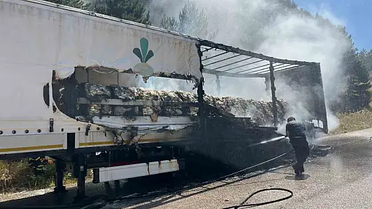 Bolu'da şeker yüklü tır alev aldı, yangın ormana sıçradı
