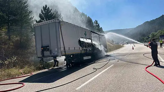 Bolu'da şeker yüklü tır alev aldı, yangın ormana sıçradı