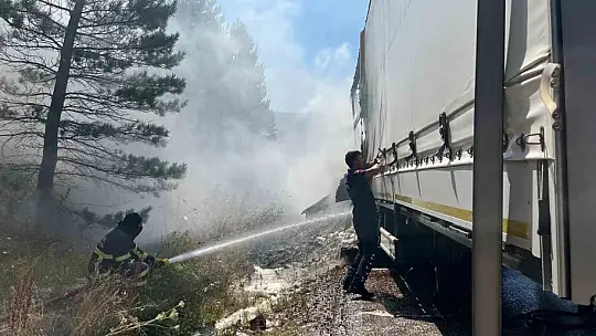Bolu'da şeker yüklü tır alev aldı, yangın ormana sıçradı