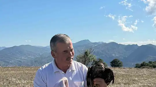 Bolu'da sıcak asfalta yapışan şahin, muhtarın müdahalesiyle kurtarıldı
