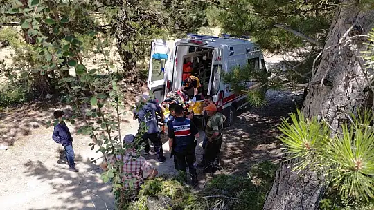 Bolu'da traktörden düşen 2 kişi yaralandı