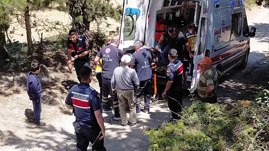 Bolu'da traktörden düşen 2 kişi yaralandı