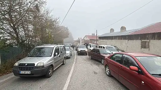 Bolu'da virajı alamayan kamyon devrildi: Onlarca tavuk telef oldu