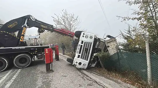 Bolu'da virajı alamayan kamyon devrildi: Onlarca tavuk telef oldu