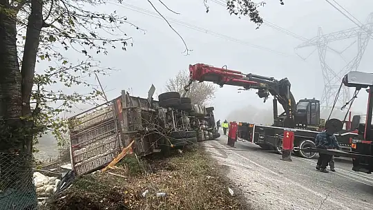 Bolu'da virajı alamayan kamyon devrildi: Onlarca tavuk telef oldu