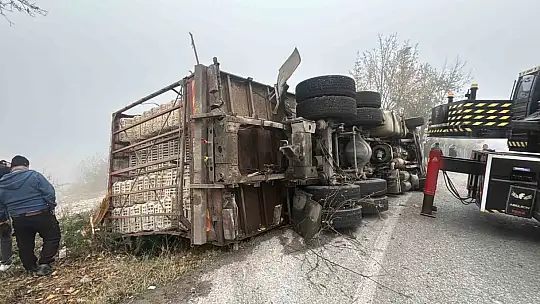 Bolu'da virajı alamayan kamyon devrildi: Onlarca tavuk telef oldu