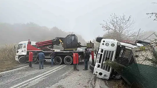 Bolu'da virajı alamayan kamyon devrildi: Onlarca tavuk telef oldu