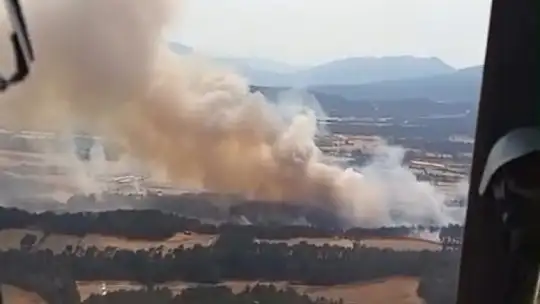 Bolu'da yanan orman yeniden yeşeriyor