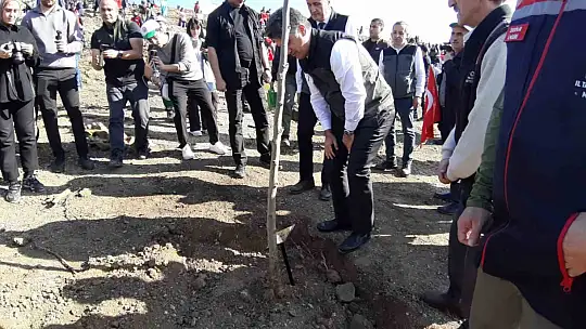 Bolu'da yanan orman yeniden yeşeriyor