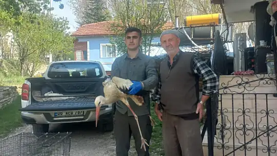 Bolu'da yaralı leylek tedavi altına alındı