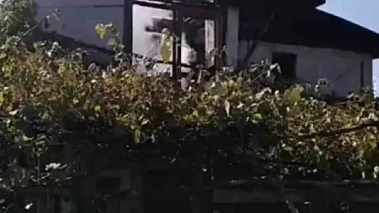 Bolu'da yayla evinde yangın