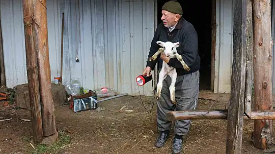 Bolu'da yaylalardan köylere göç başladı