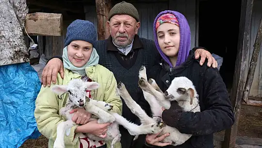 Bolu'da yaylalardan köylere göç başladı