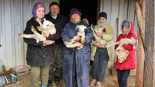 Bolu'da yaylalardan köylere göç başladı