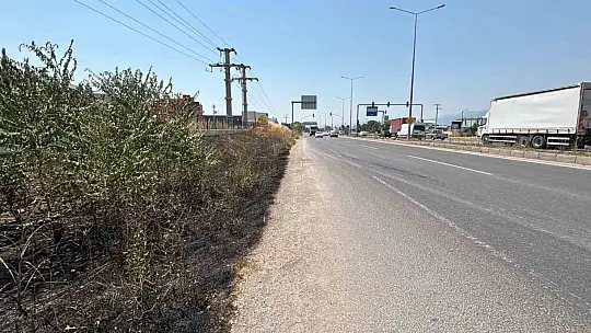 Bolu'da yol kenarına atılan sigara izmariti, kuru otları yaktı