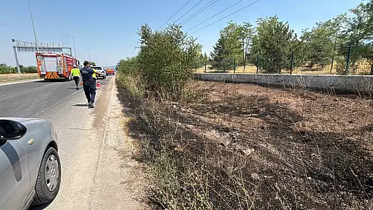 Bolu'da yol kenarına atılan sigara izmariti, kuru otları yaktı