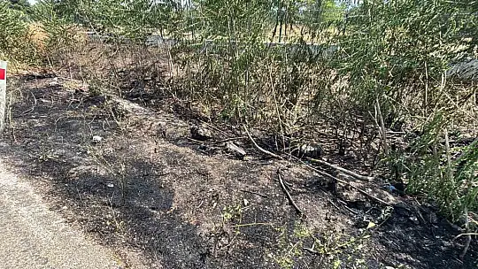 Bolu'da yol kenarına atılan sigara izmariti, kuru otları yaktı