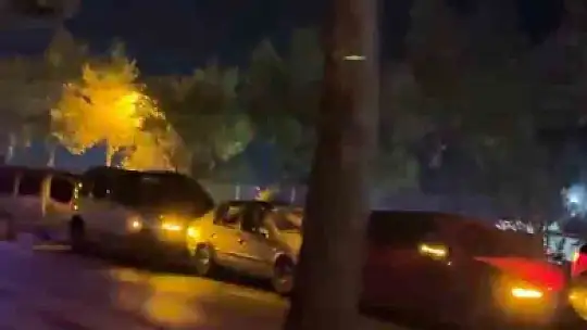 Bolu'da yola çıkan köpekler zincirleme kazaya neden oldu