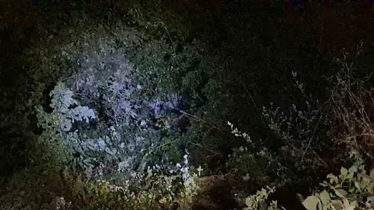 Bolu Dağı'nda frenleri boşalan minibüs uçuruma yuvarlandı: 1 yaralı
