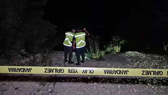 Bolu Dağı'nda frenleri boşalan minibüs uçuruma yuvarlandı: 1 yaralı