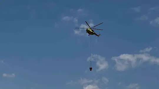 Bolu'daki orman yangını kısa sürede kontrol altına alındı